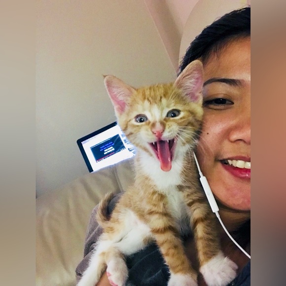 Hi, my name is Jo Cruz and I am a web and graphic designer and Posh is my hustle - Picture 14 of 16